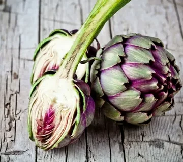 Benefits of Artichoke Extract Nootropics